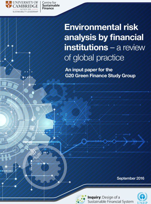 Environmental risk analysis by financial institutions – a review of global practice