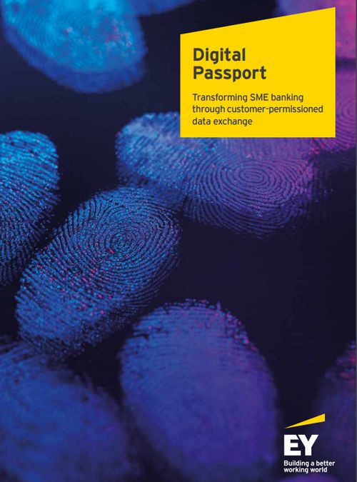 Digital Passport 2017