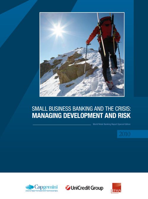 Small Business Banking and the Crisis