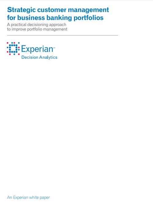 Strategic customer management for business banking portfolios