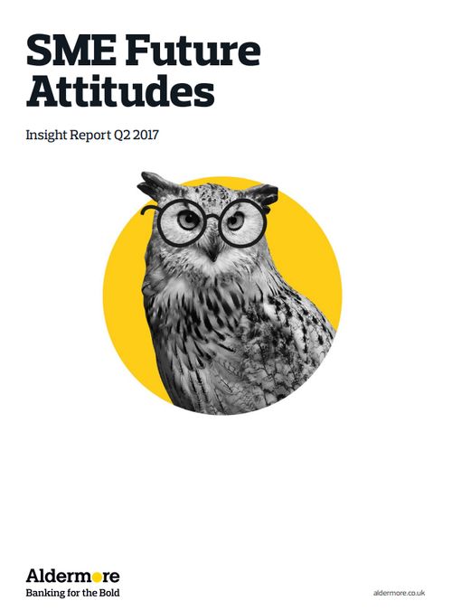 SME Future Attitudes