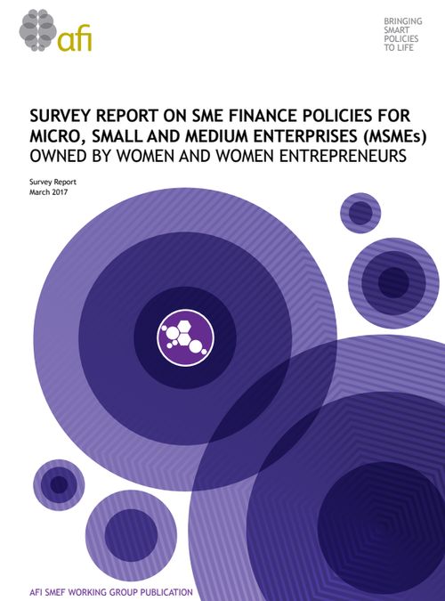 Survey report on SME finance policies for MSMEs owned by women and women entrepreneurs