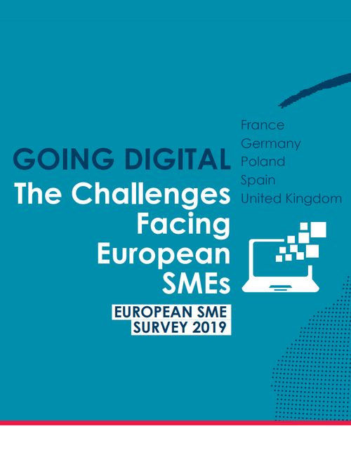 The Challenges Facing European SMEs