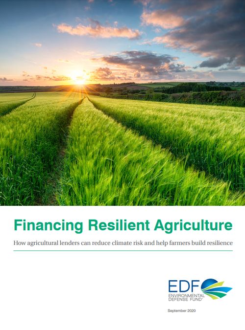 Financing Resilient Agriculture