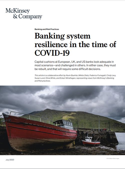 Banking system resilience in the time of COVID-19 – McKinsey & Company