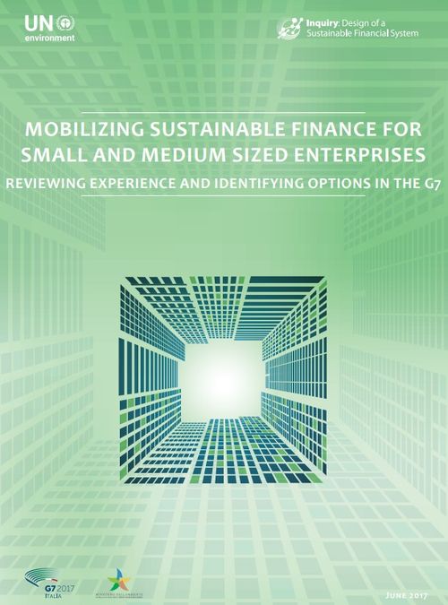 Mobilizing Sustainable Finance for Small and Medium Sized Enterprises