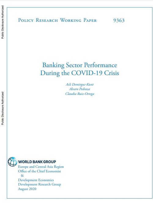 Banking Sector Performance During the COVID-19 Crisis
