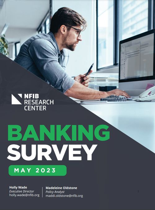 Banking Survey - 2023