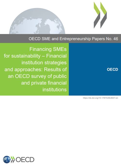 Financing SMEs for sustainability – Financial institution strategies and approaches
