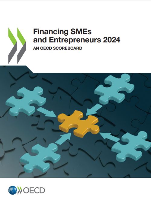 Financing SMEs and Entrepreneurs 2024 OECD