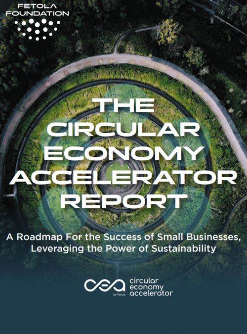 The Circular Economy Accelerator. A Roadmap For the Success of Small Businesses, Leveraging the Power of Sustainability