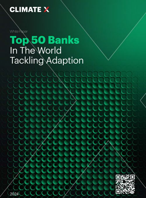 Top 50 Banks in the World Tackling Adaptation - 2024