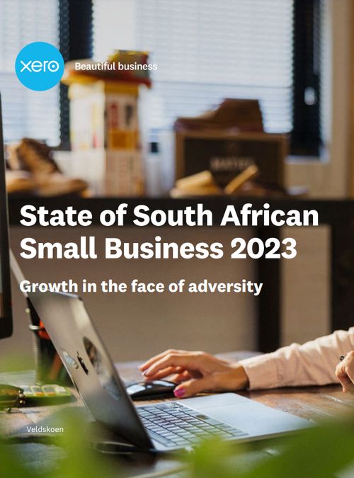 State of South African Small Business 2023