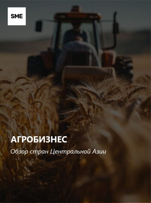 Обзор развития агробизнеса в странах Центральной Азии