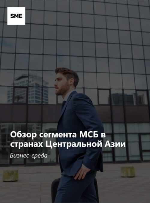 Обзор сегмента МСБ в странах Центральной Азии: бизнес-среда