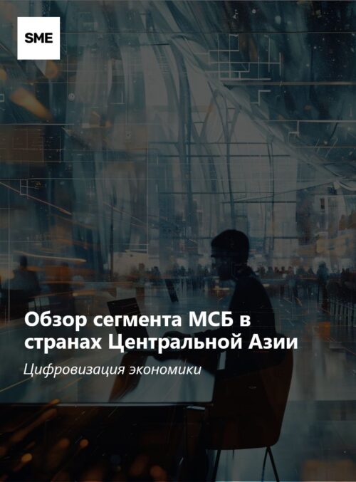 Обзор сегмента МСБ в странах Центральной Азии: цифровизация экономики
