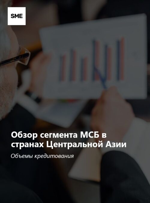 Обзор сегмента МСБ в странах Центральной Азии: объёмы кредитования