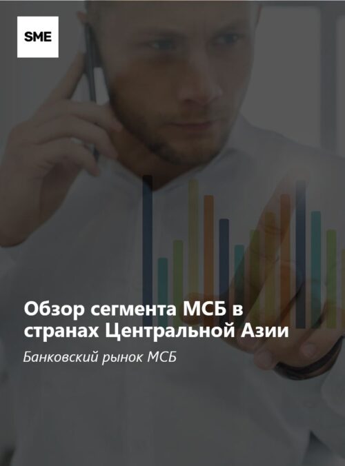 Обзор сегмента МСБ в странах Центральной Азии: банковский рынок МСБ