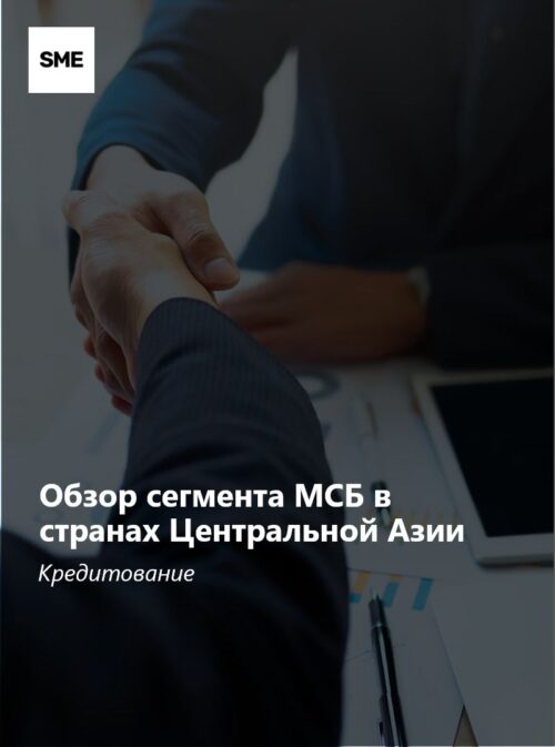 Обзор сегмента МСБ в странах Центральной Азии: кредитование