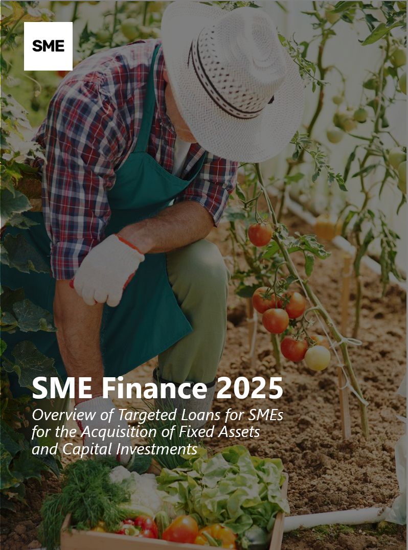 SME Finance 2025
