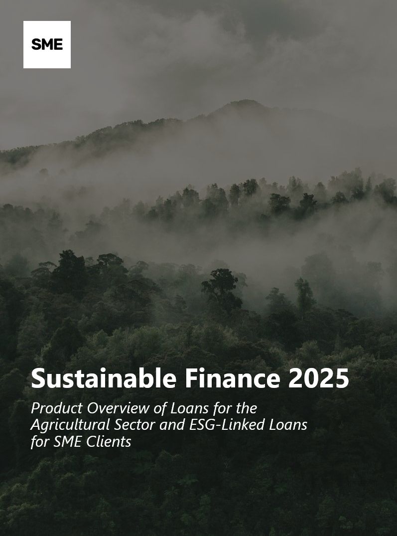 Sustainable Finance 2025