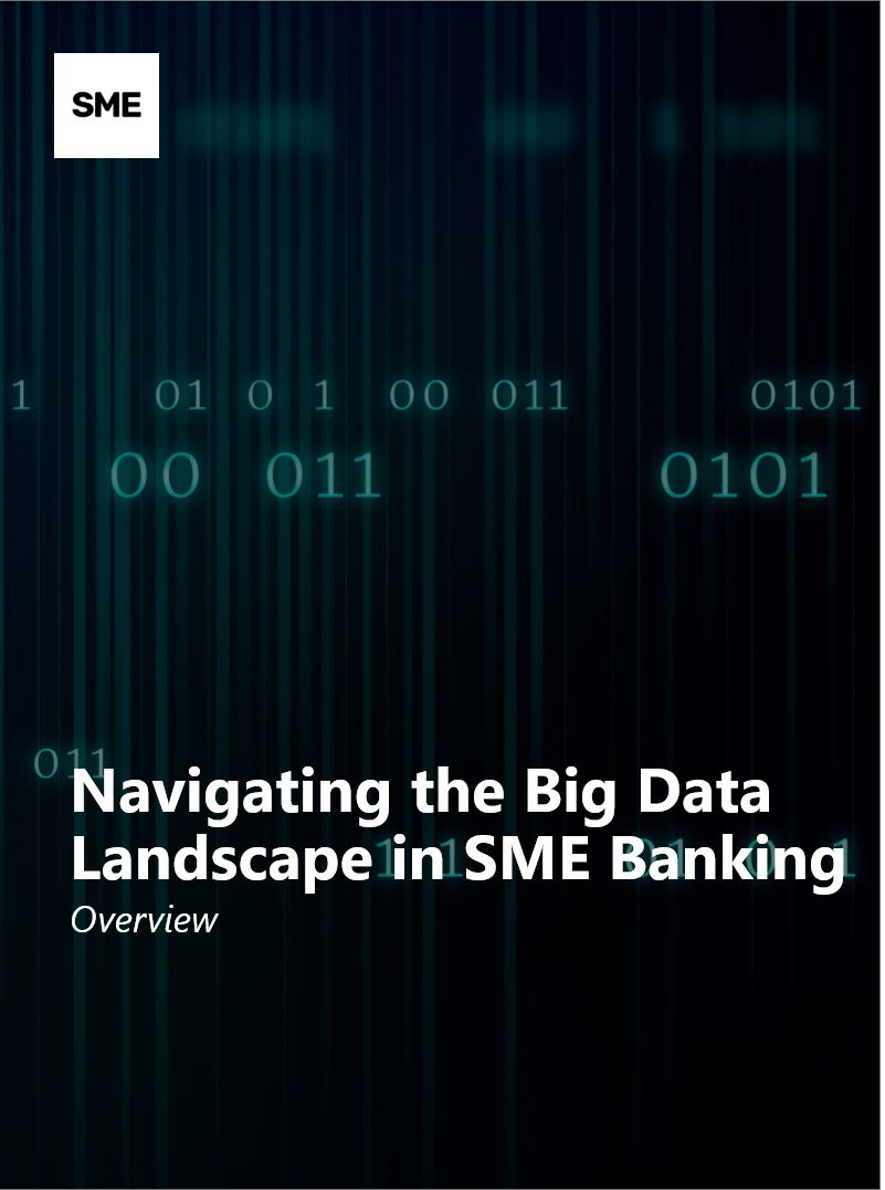 Navigating the Big Data Landscape in SME Banking