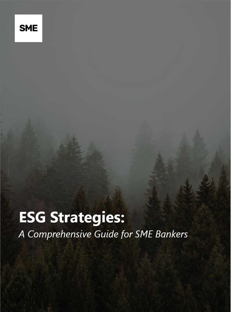 ESG Strategies: A Comprehensive Guide for SME Bankers