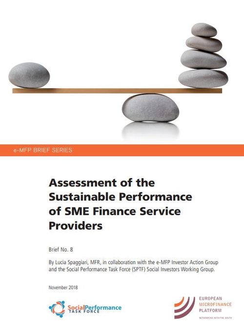 Assessment of the Sustainable Performance of SME Finance Service Providers