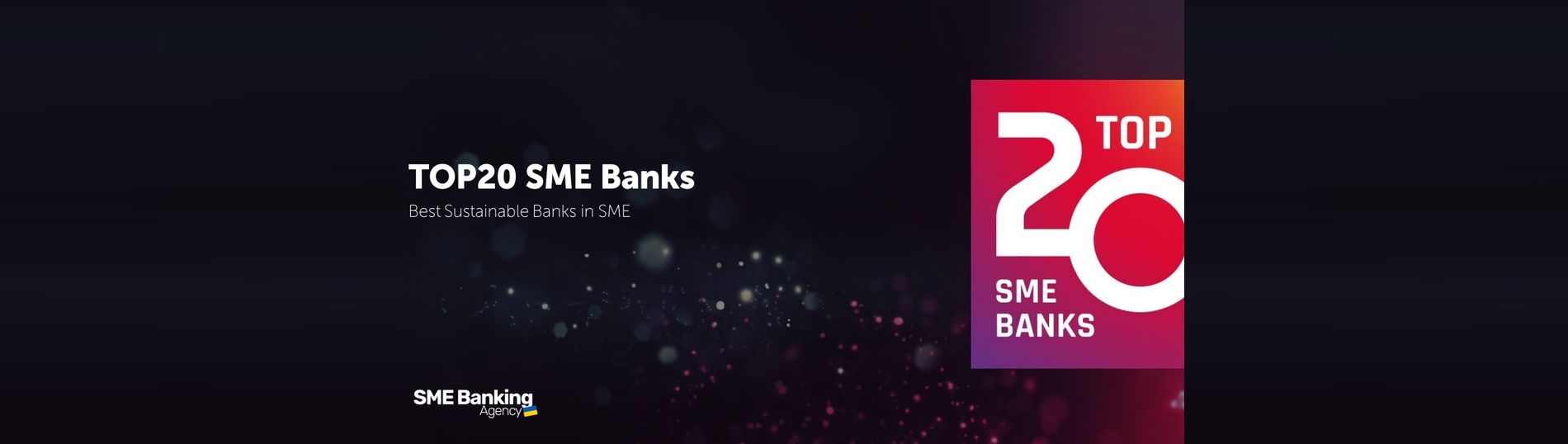 Sustainable Finance 2025: TOP20 SME Banks на уровне стран Восточной Европы