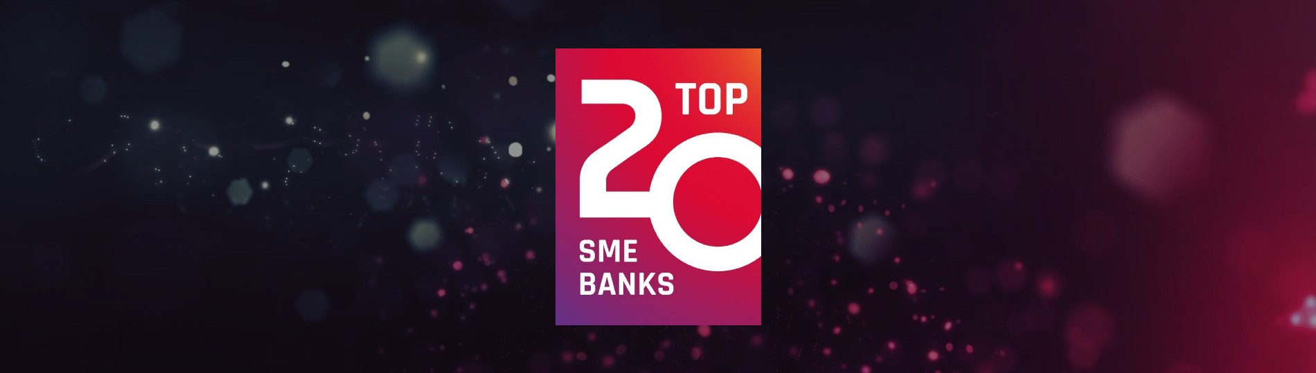 TOP20 SME Banks 2025